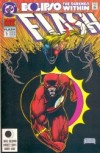 Flash Annual #5